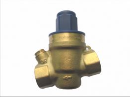 PRV (減壓閥)